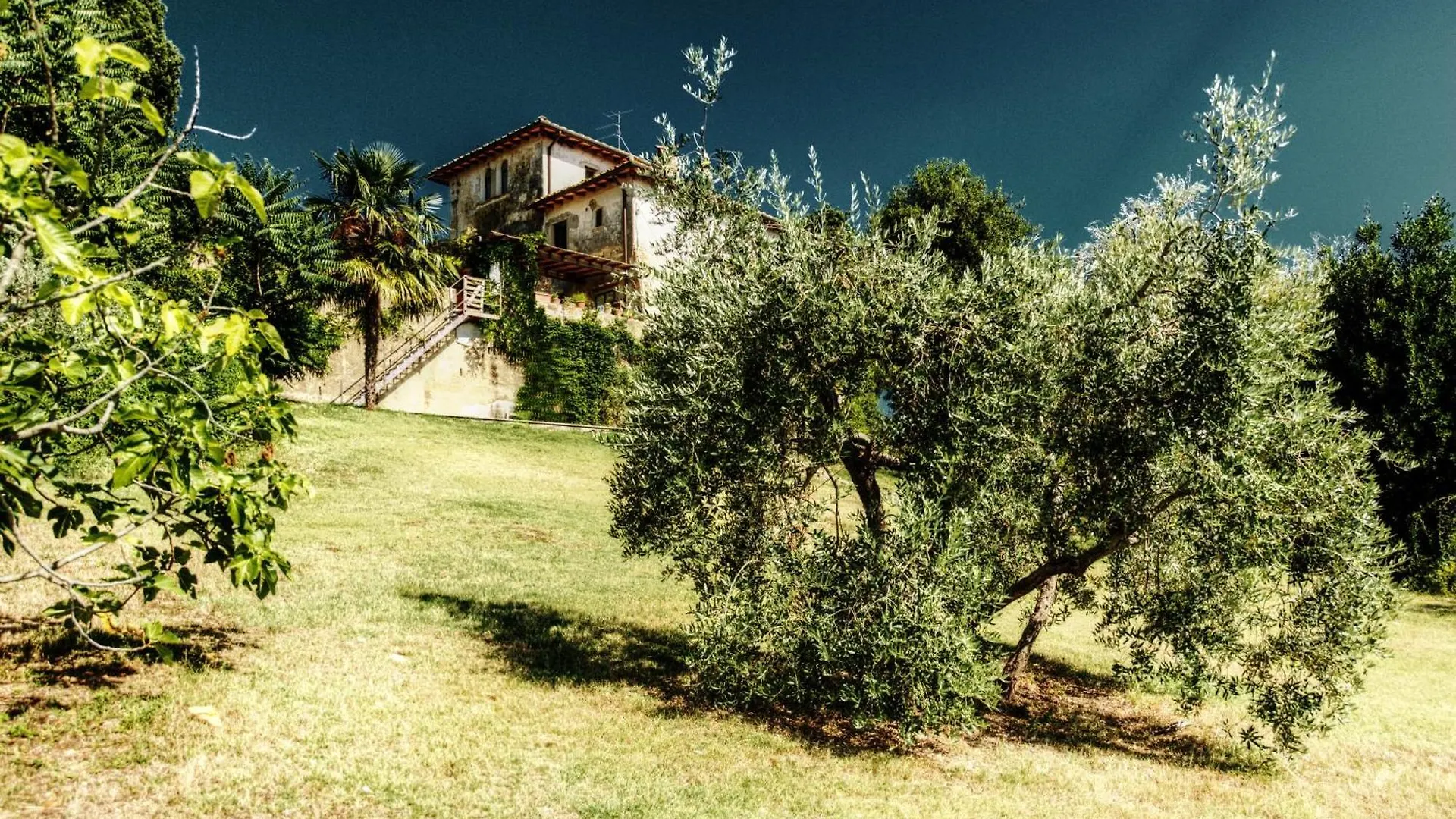 Villa Paola Pool And Gym In Chianti - Happy Rentals Montespertoli 0*,