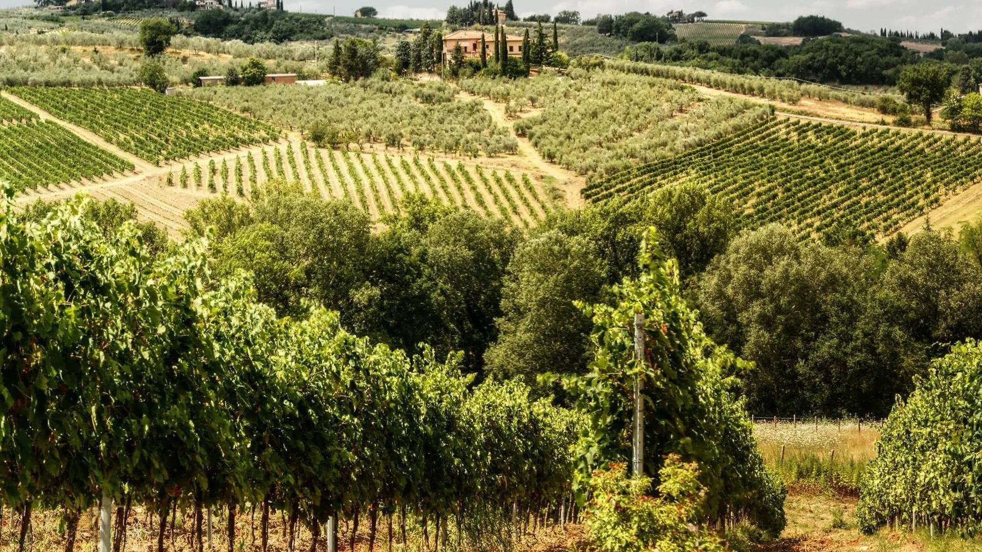 Villa Paola Pool And Gym In Chianti - Happy Rentals Montespertoli